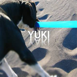 yuki yaki