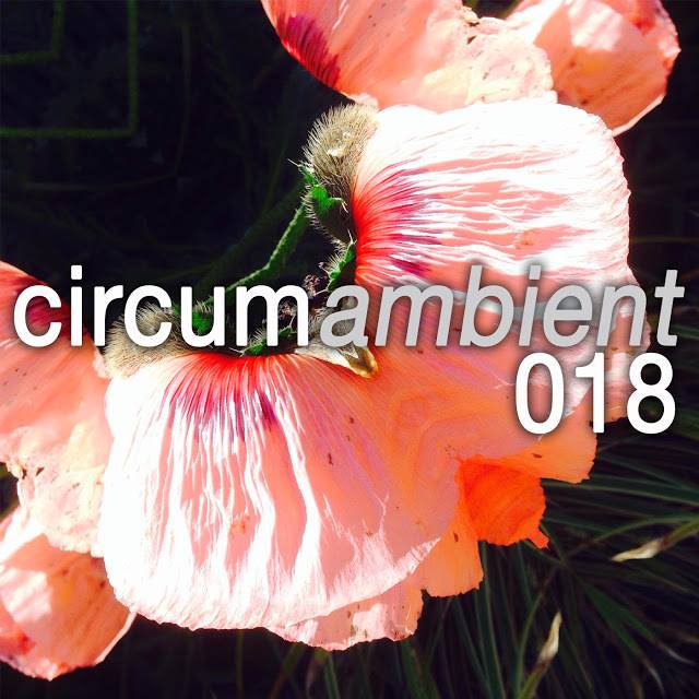 circumambient018